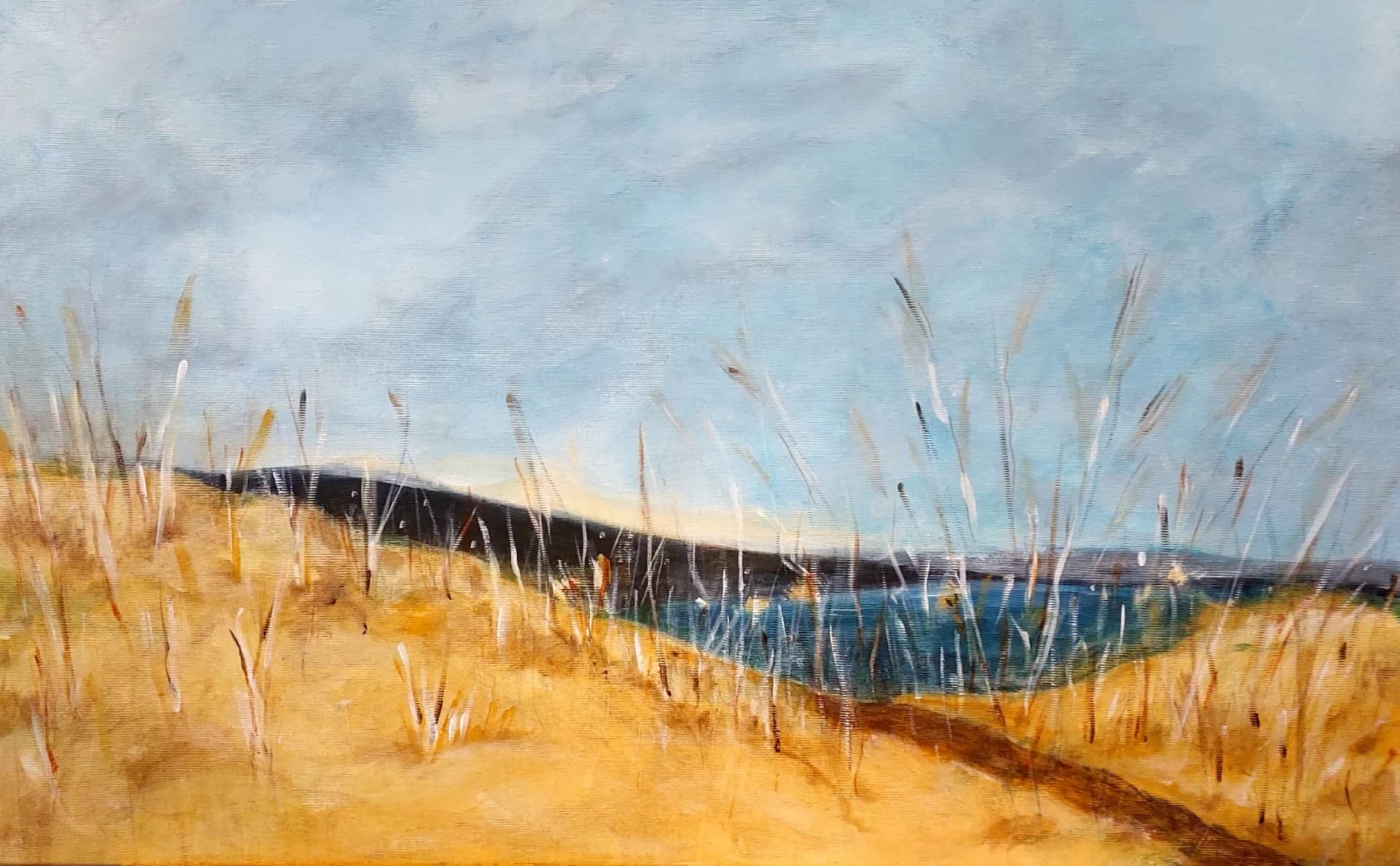 Swamp landscape
