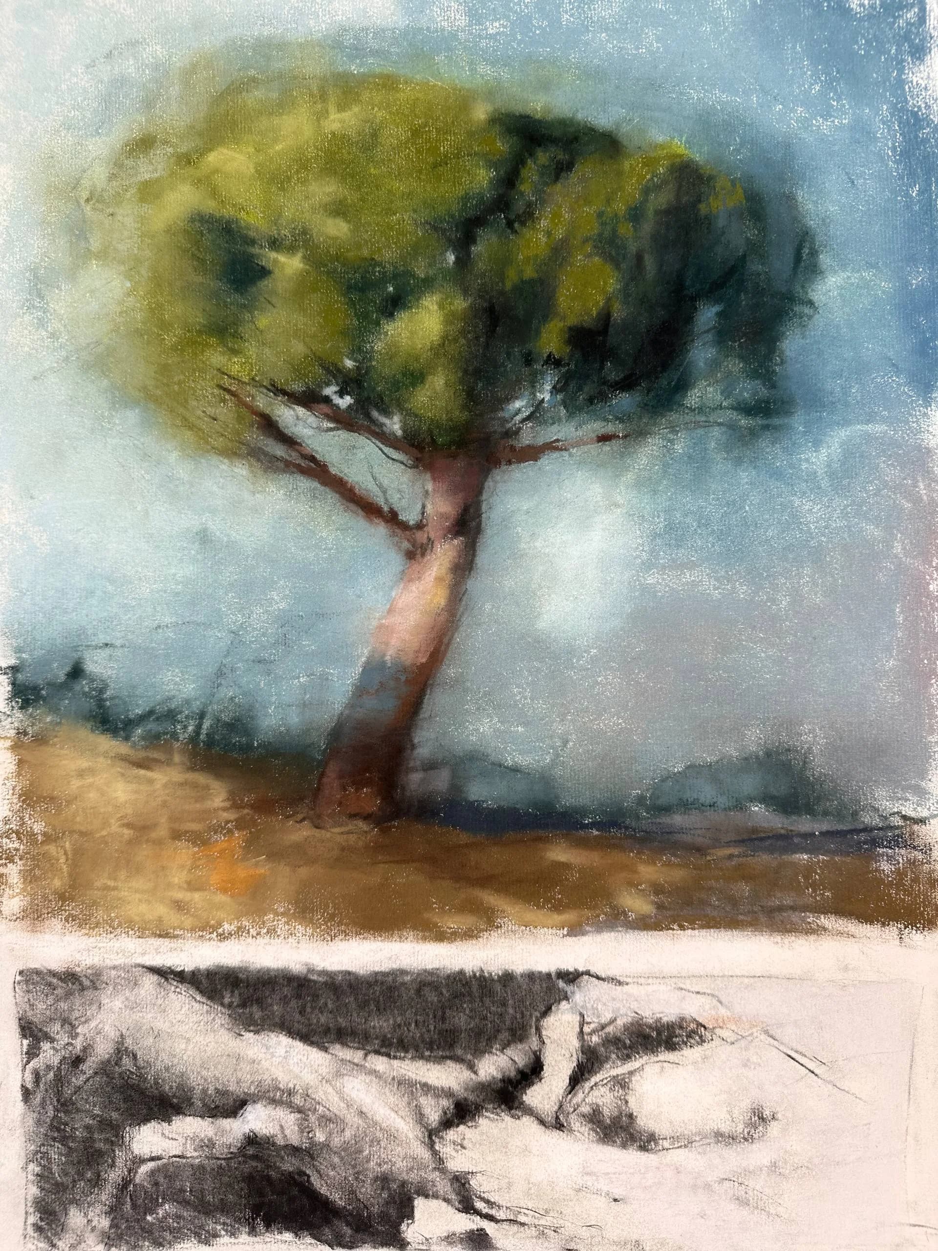 Tree: Color & Charcoal