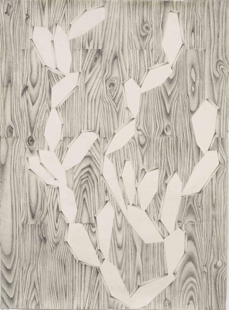 Wood 2