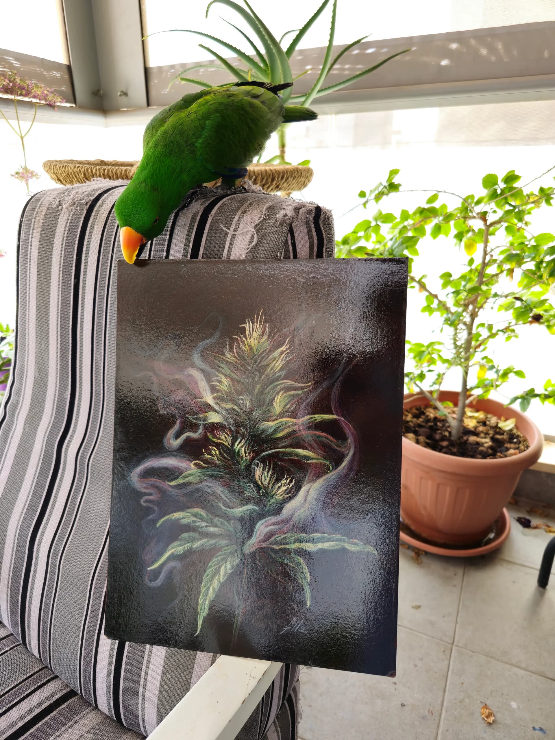 Scent of Indica – Symbolist Cannabis Art 2