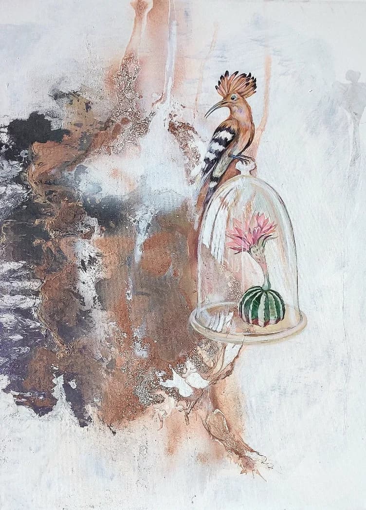 HOoPoE