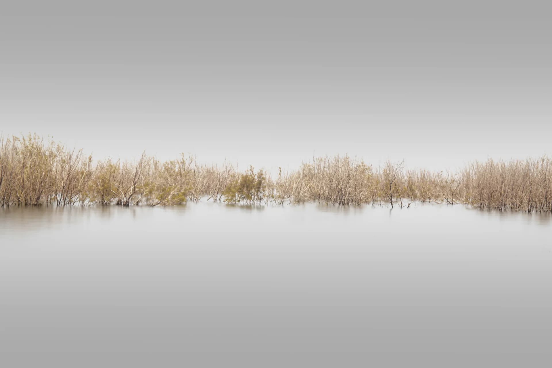 Sea of Galilee