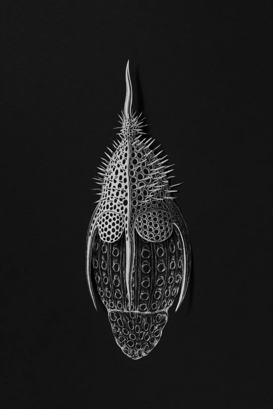 Alchemy of Paper