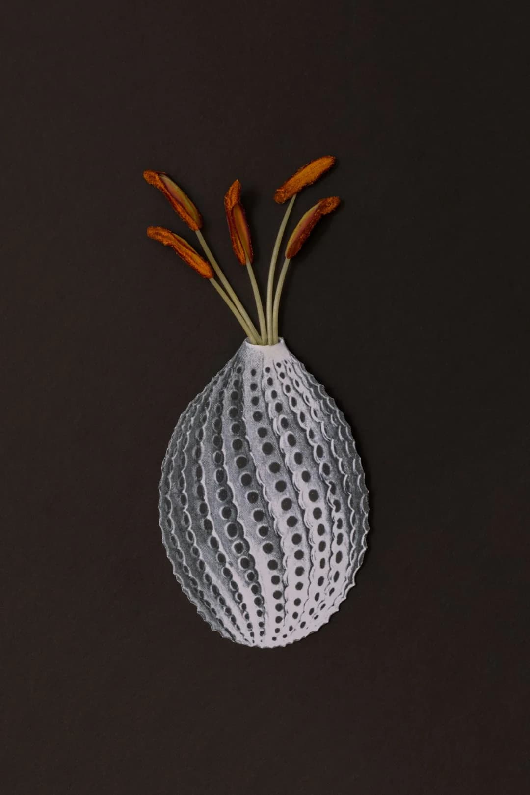 Alchemy of Paper