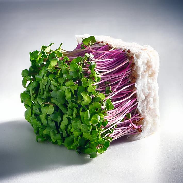 cube
