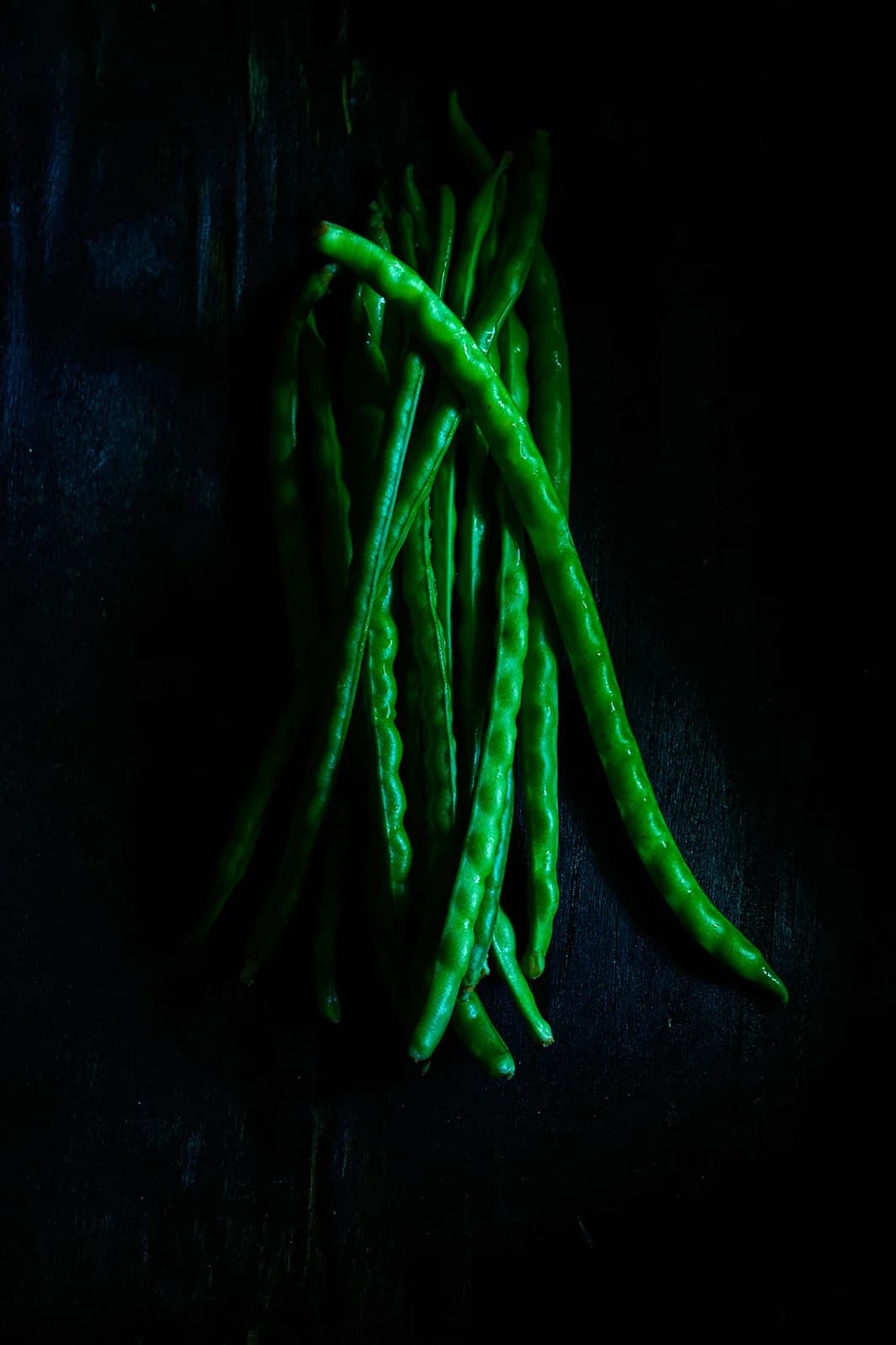 spine