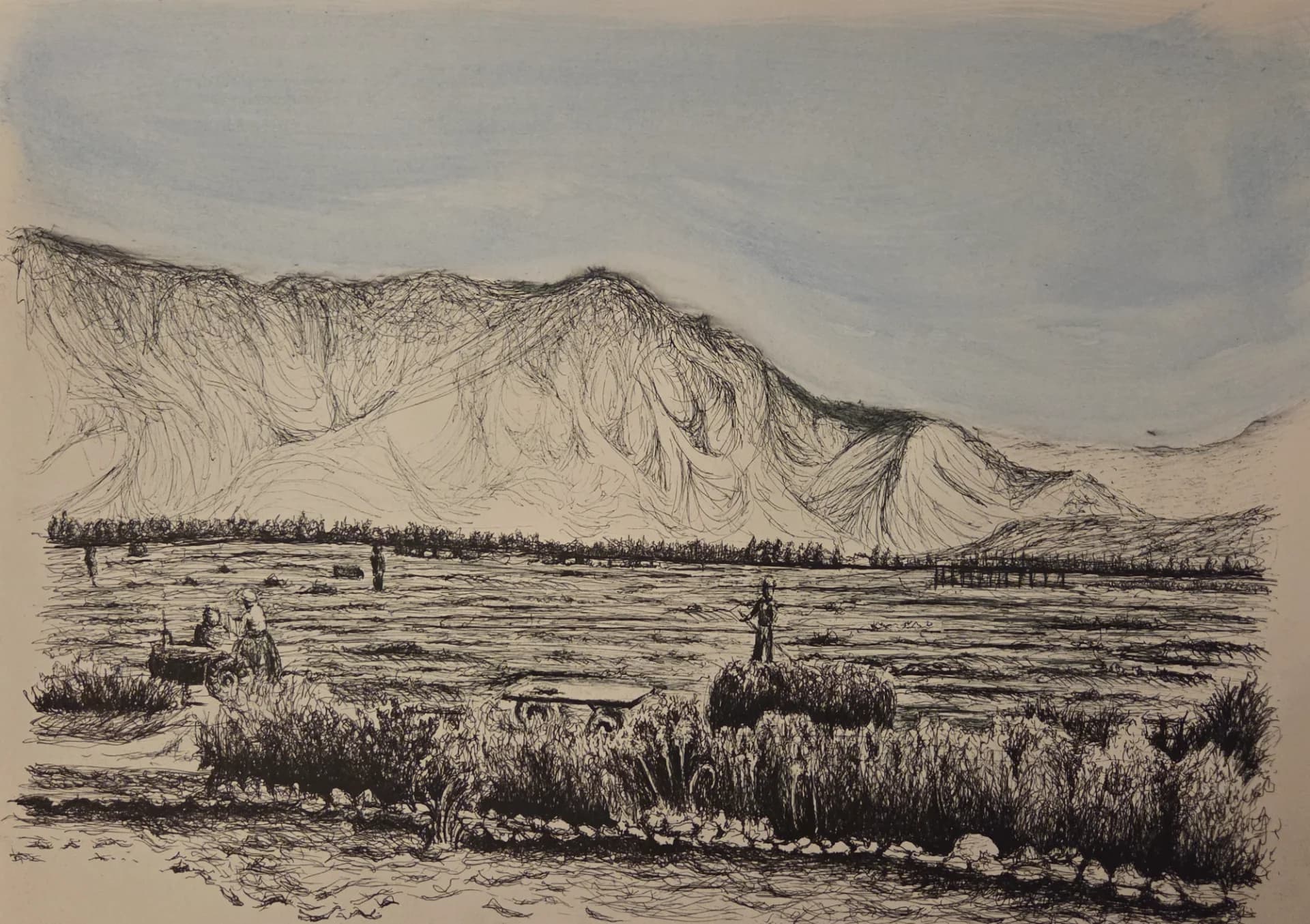 Grain and Alfalfa Fields on the Banks of the Yarmouk, Kibbutz Afikim, 1950