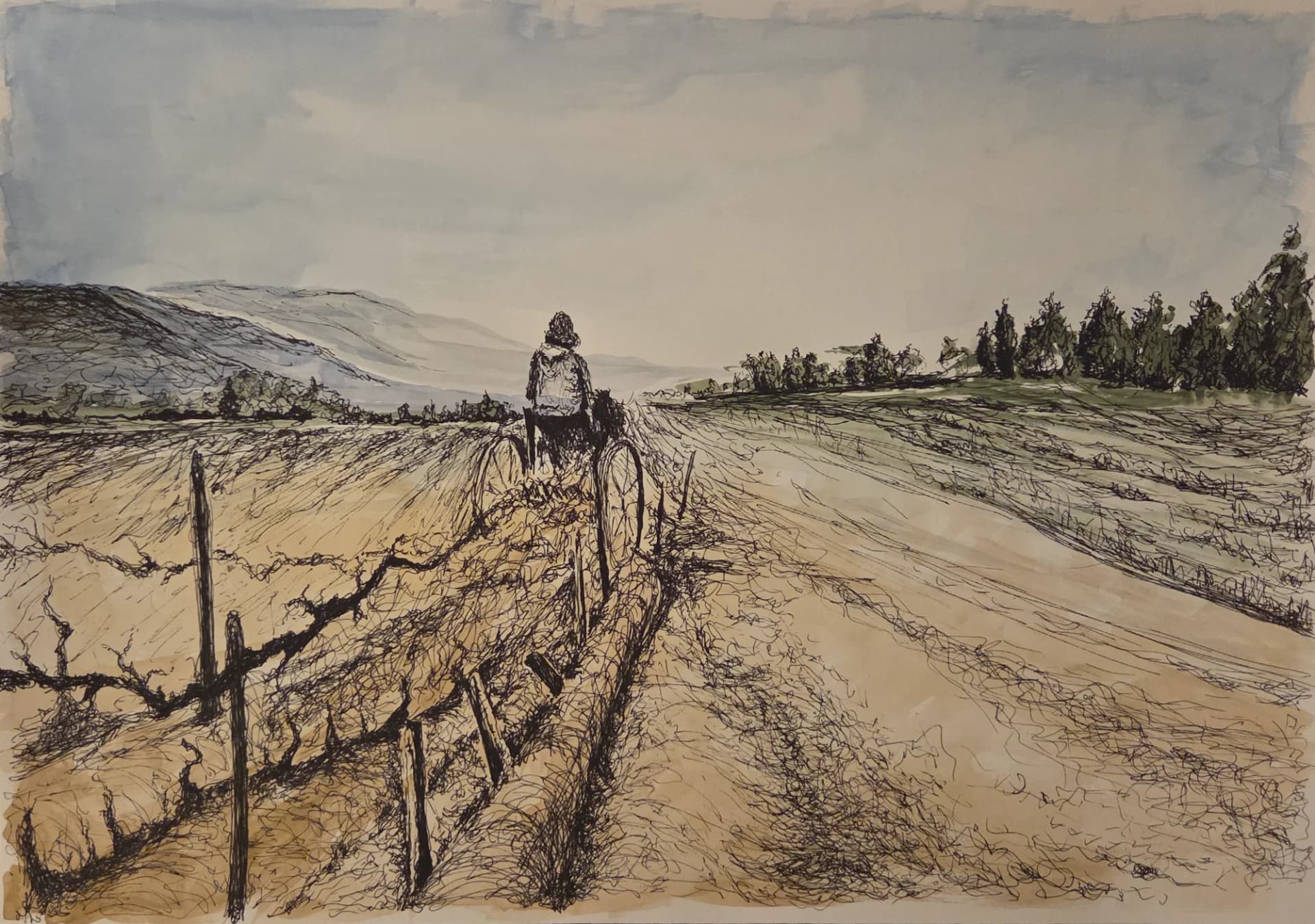 Farmer in the Vineyard, Kibbutz Afikim, Early 1950s