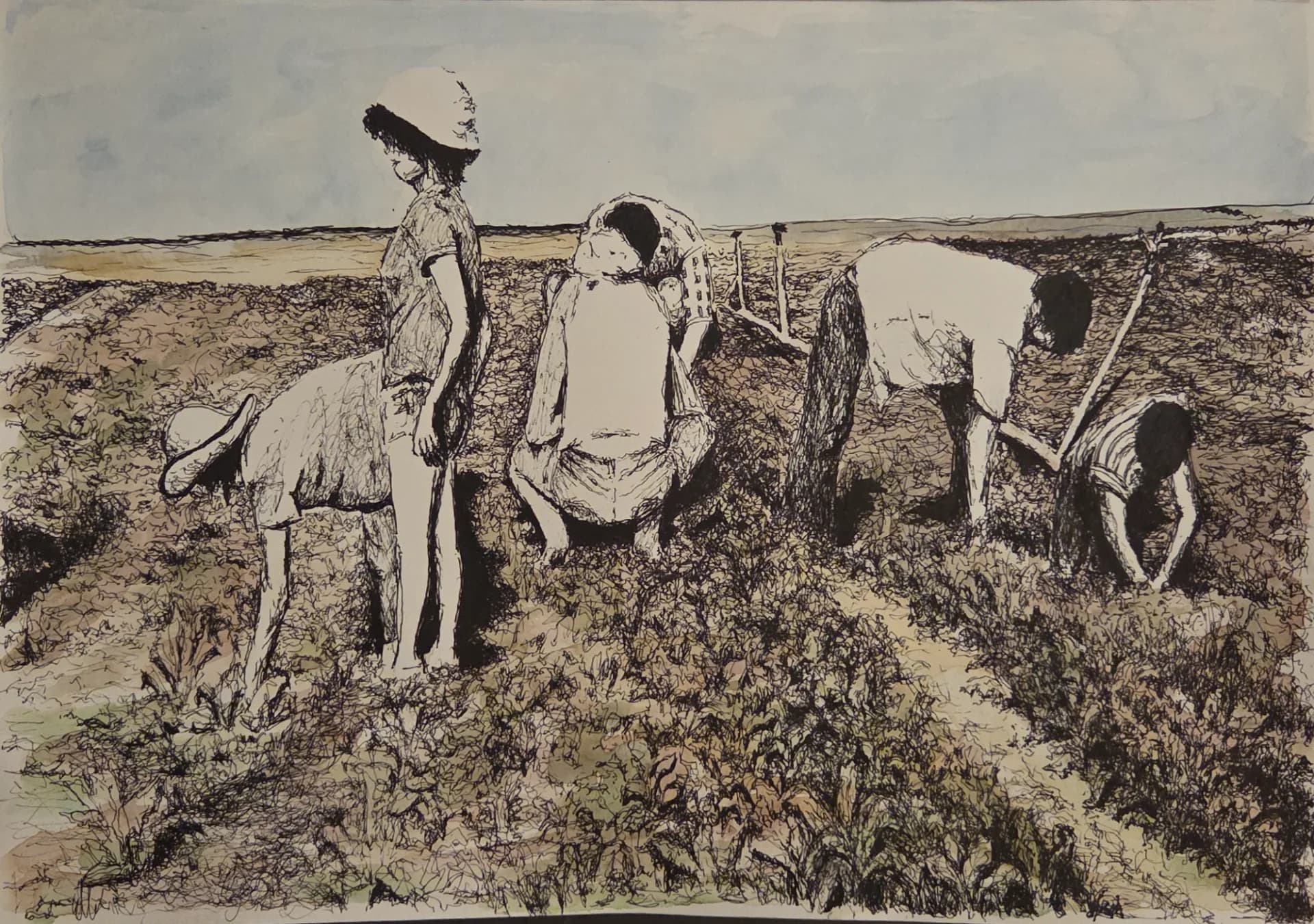 Weeding Peppers, 1976