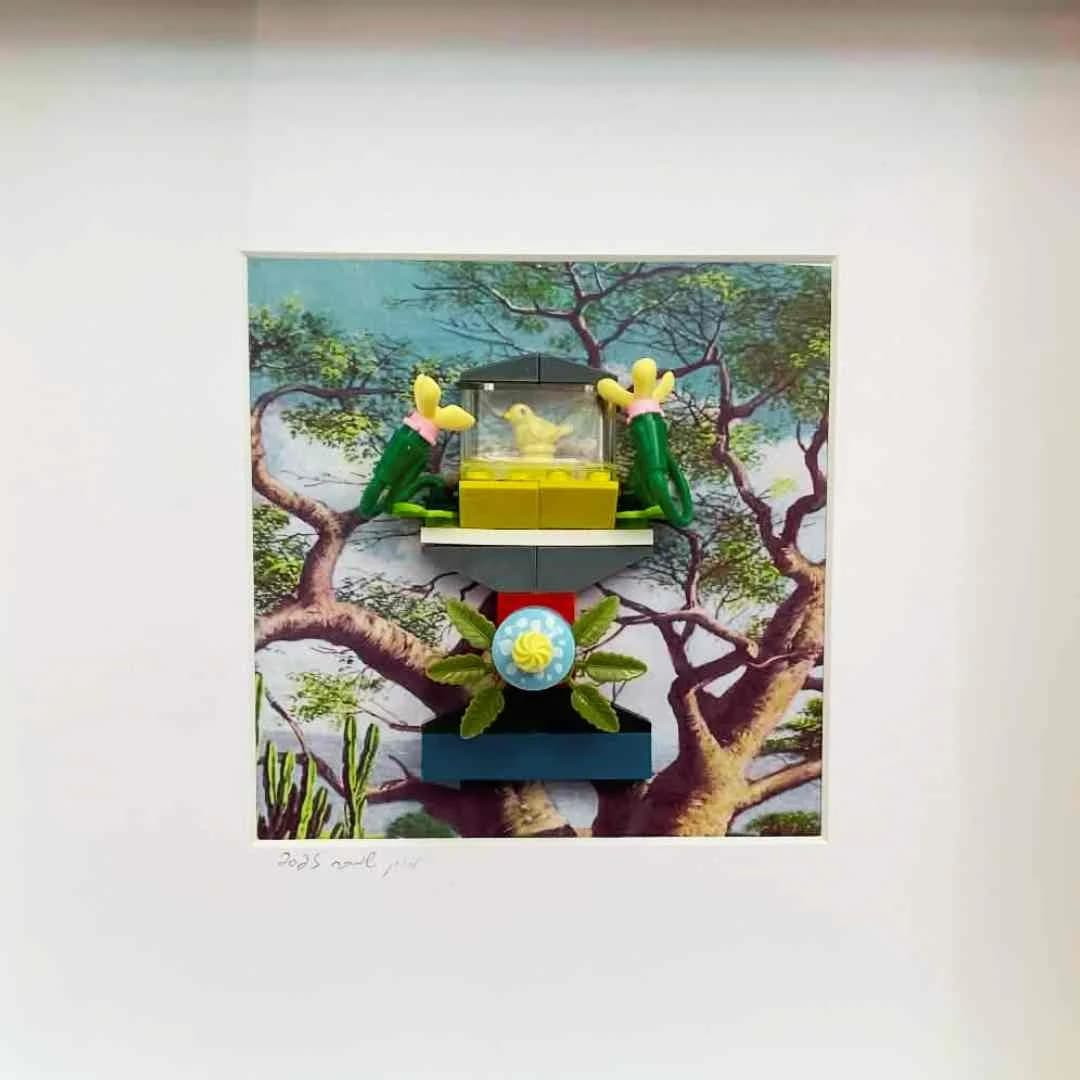 ציפור - טוטם הגנה