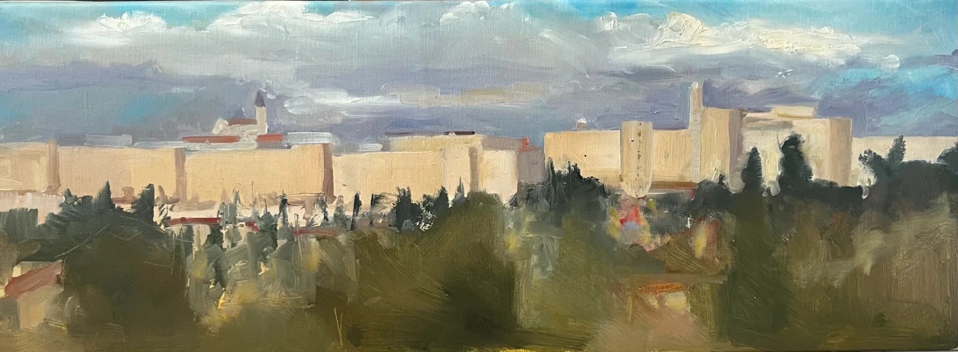 Jerusalem Panorama 2