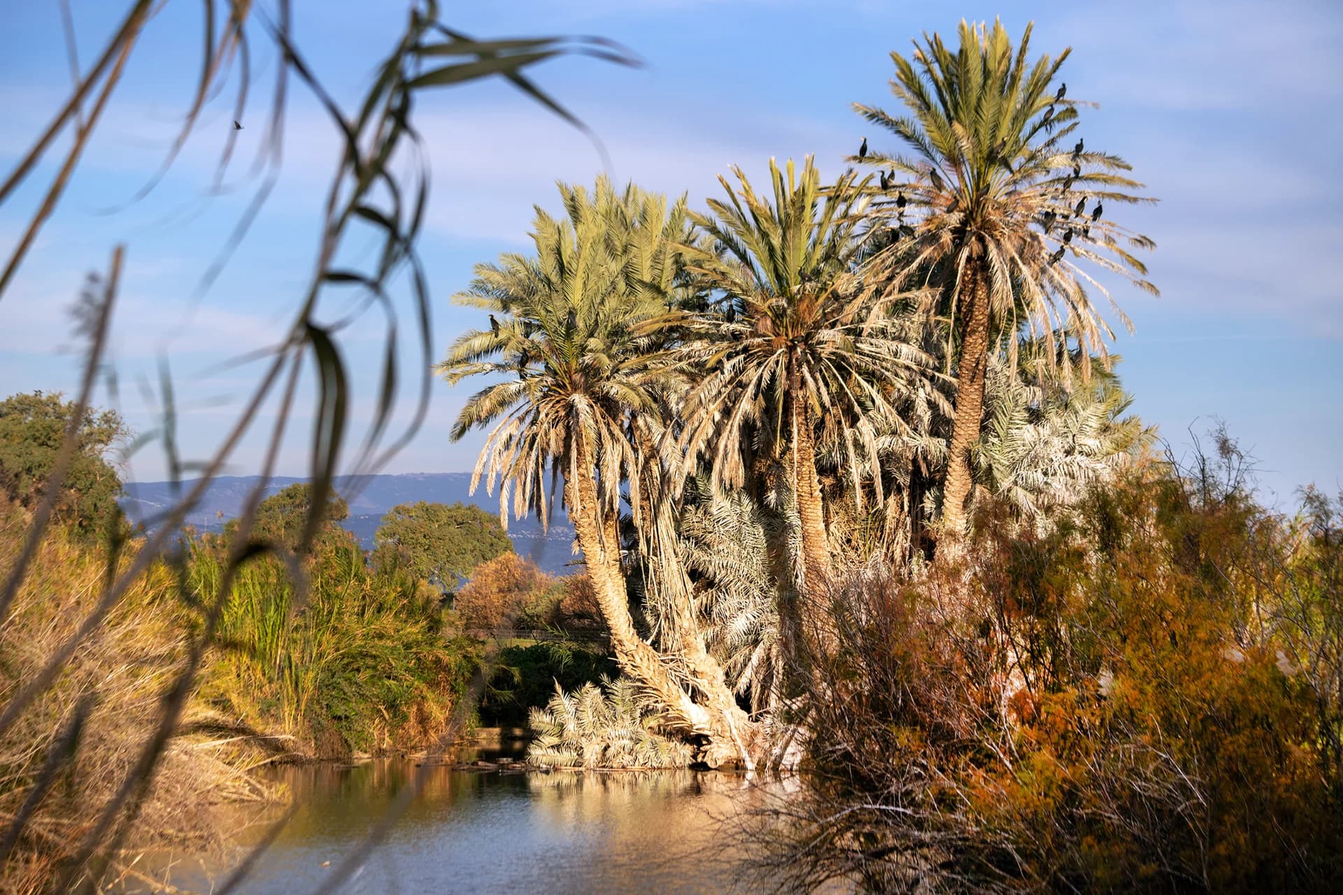 מנוחת הנדודים