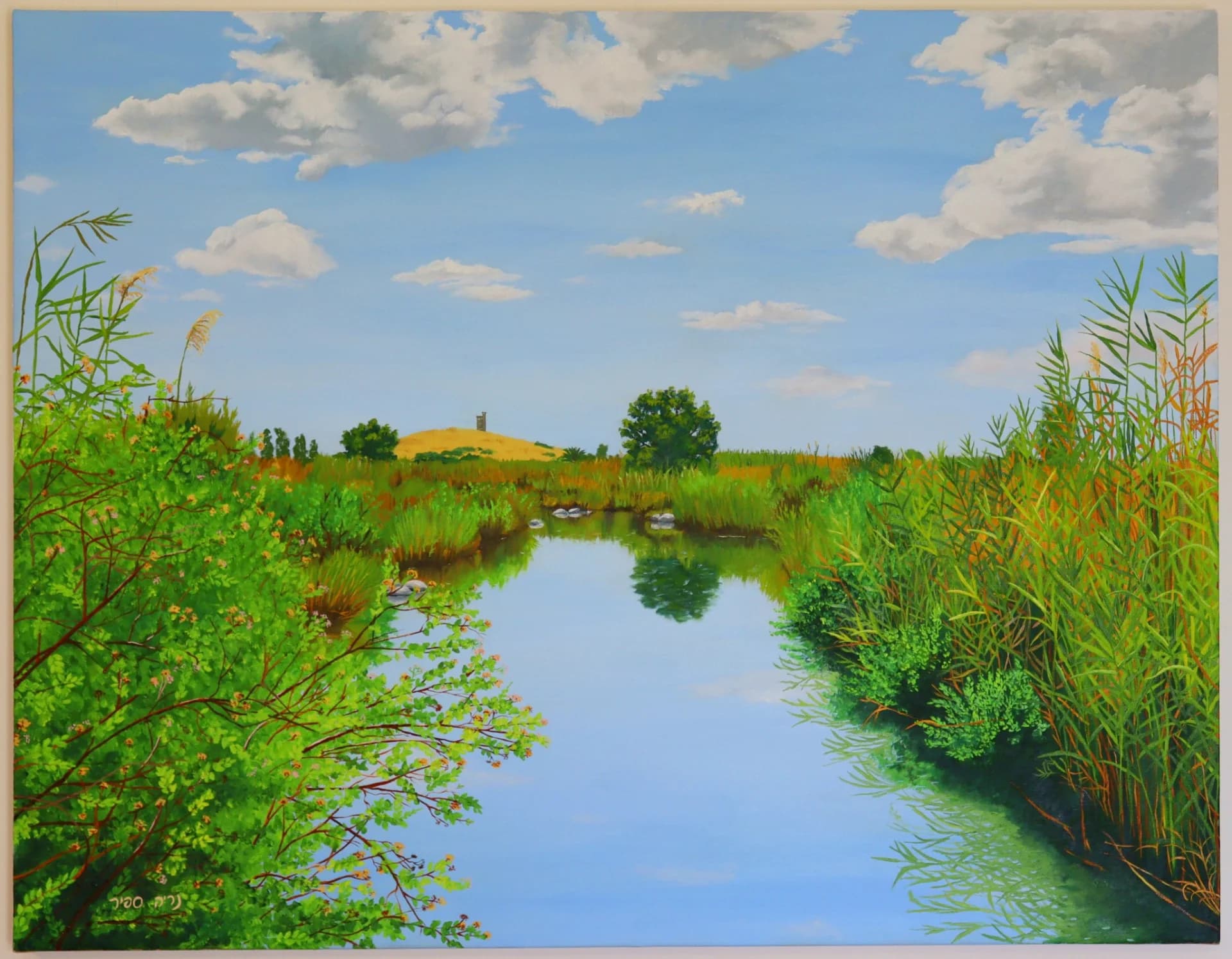 Kibbutzim Stream
