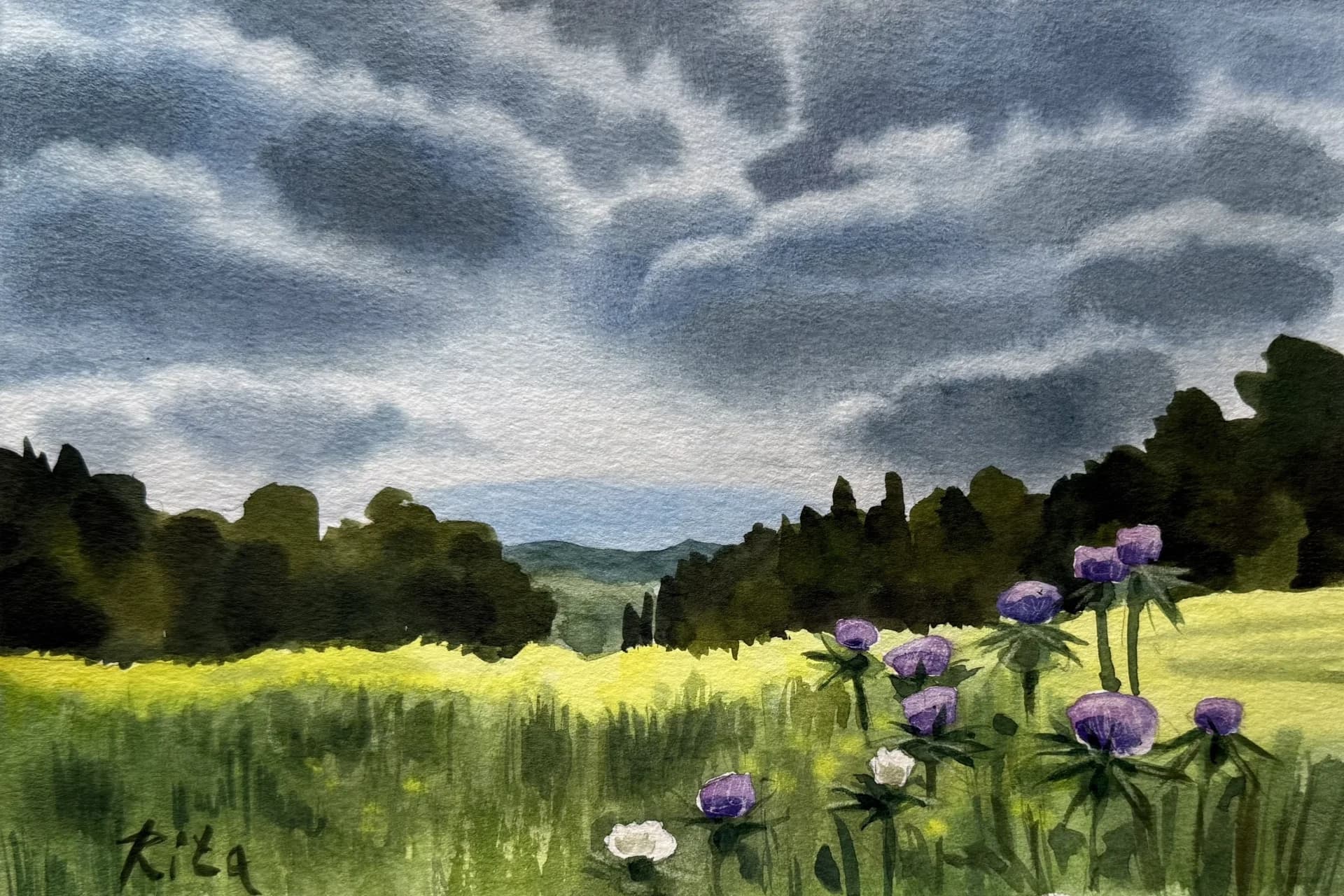Spring. Before the rain