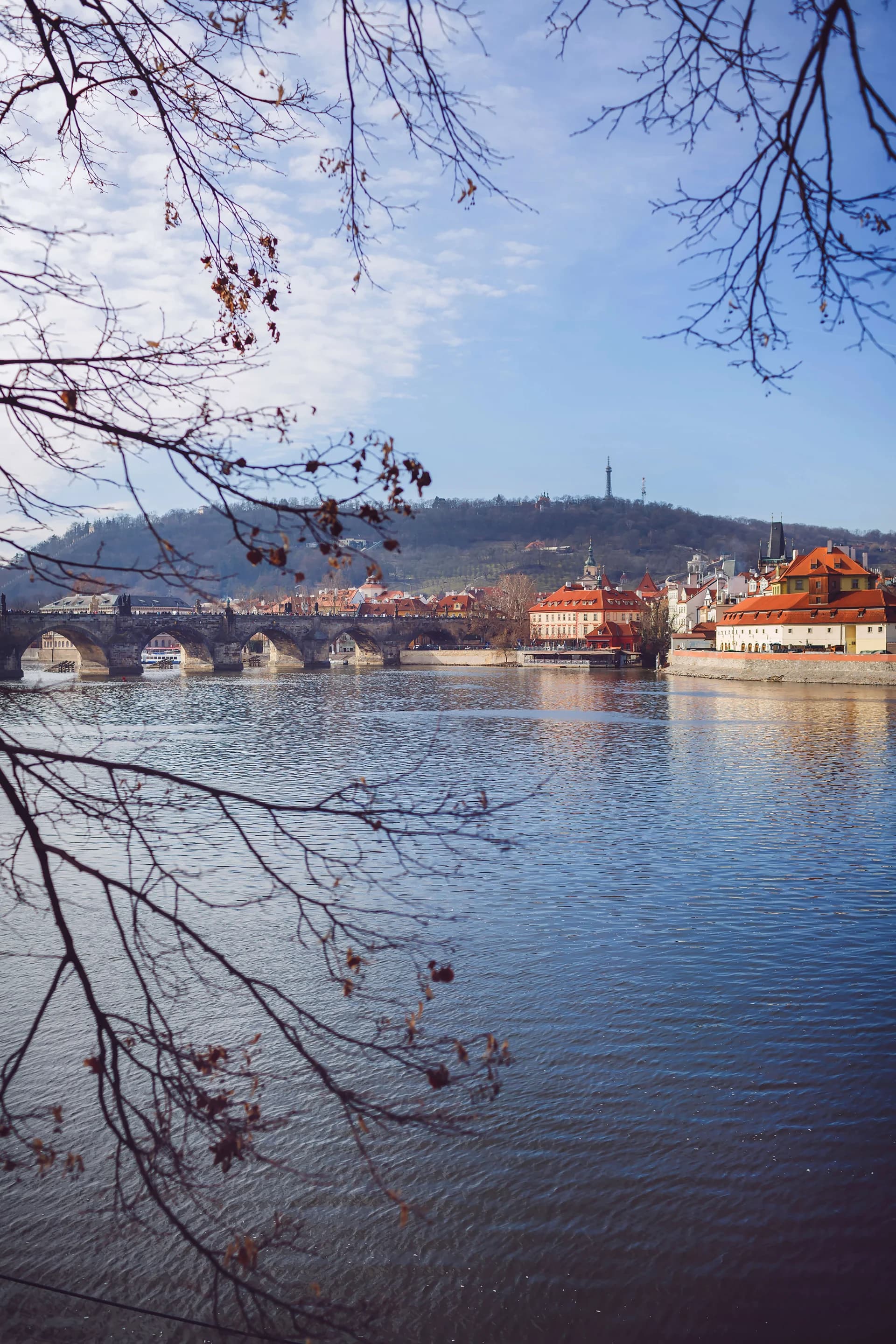 Bridge
