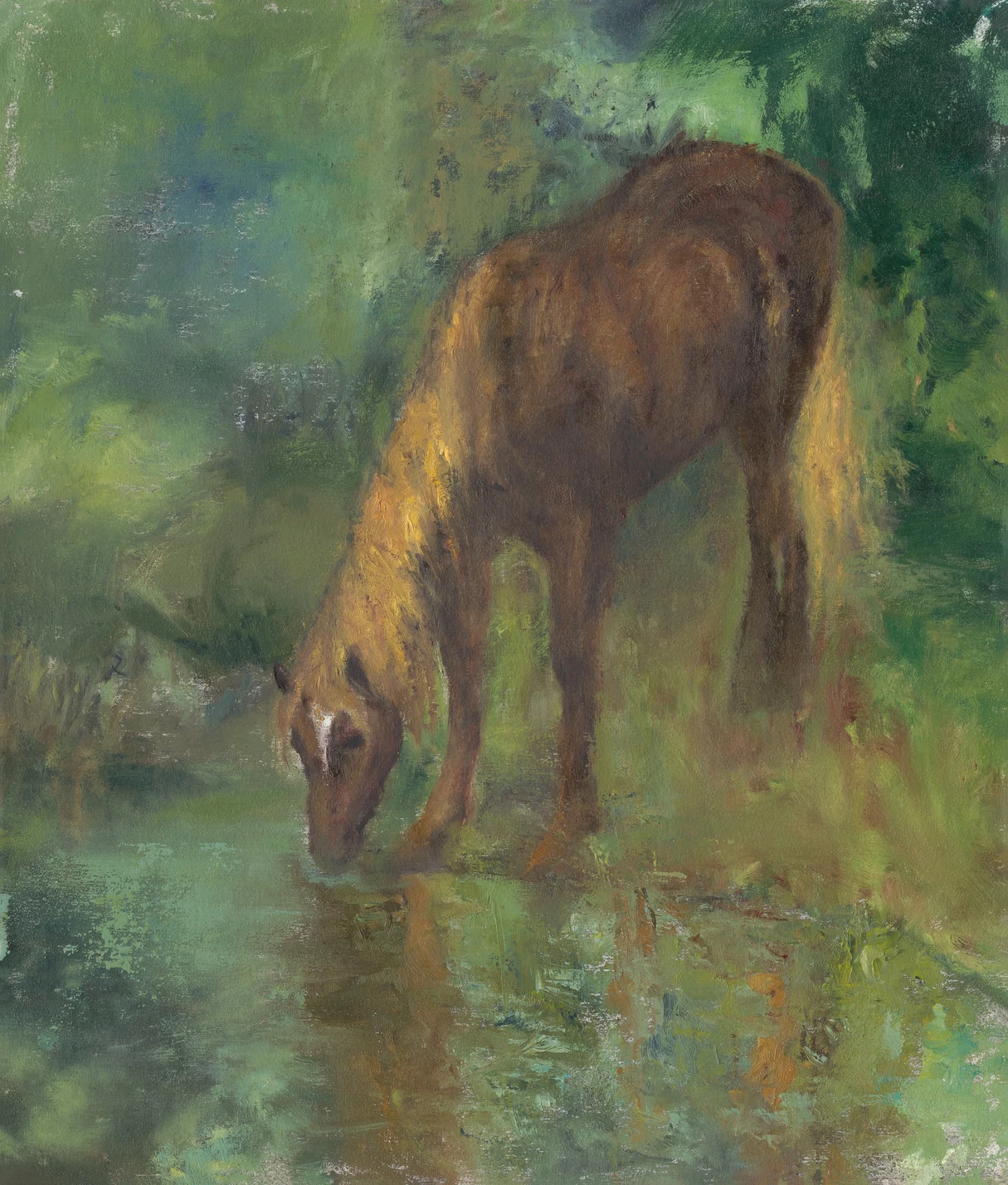 The horse and the water