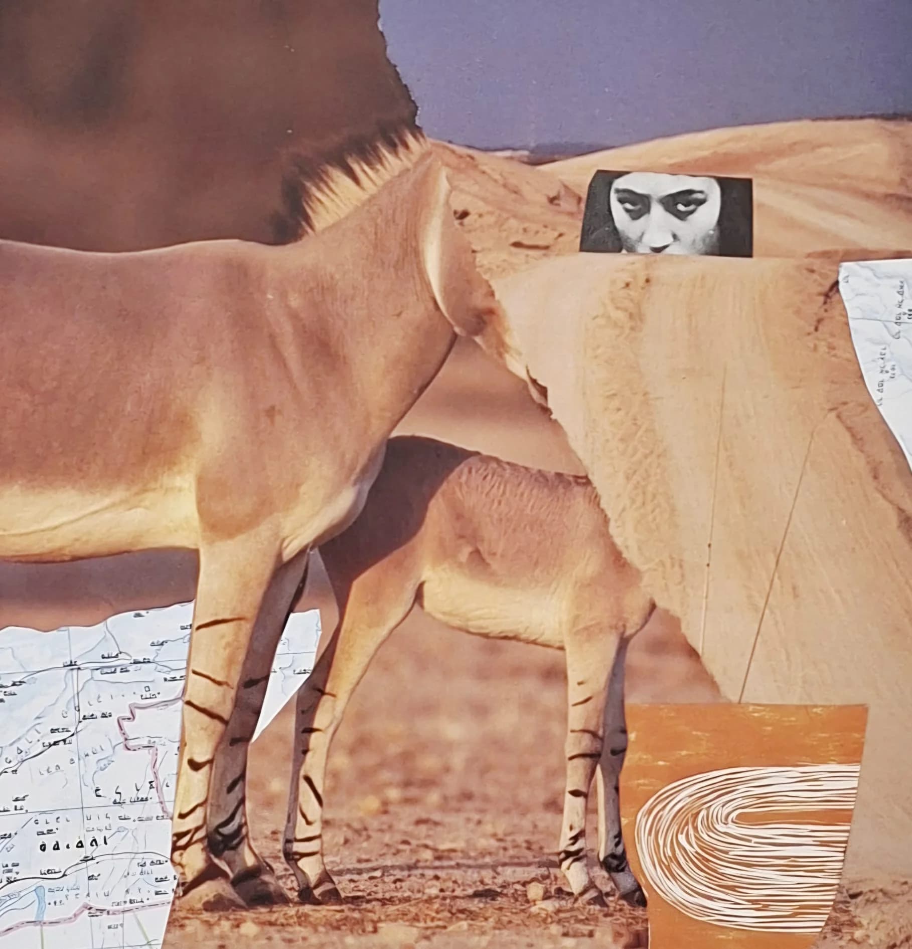 מבט לאחור