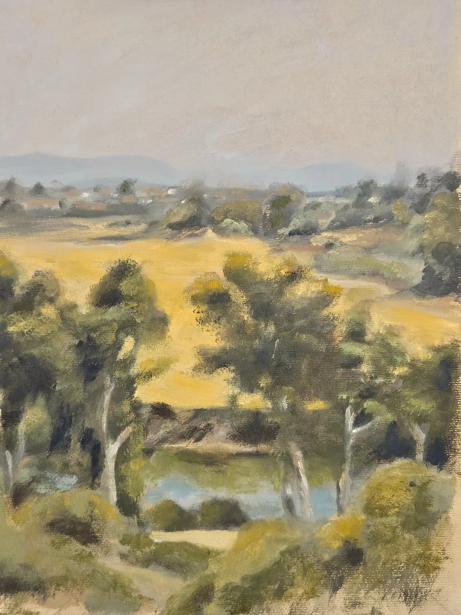 Light Over Nahal Alexander