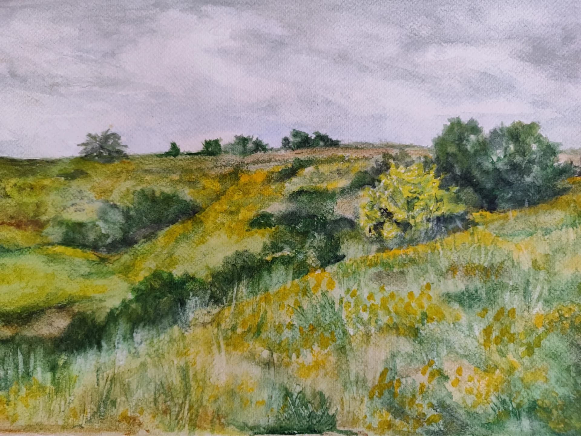 Spring in the Northern Negev