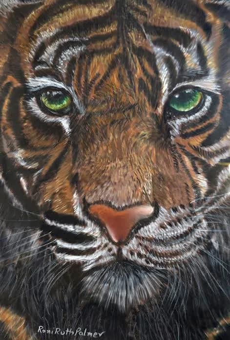 Emerald Tiger Gaze