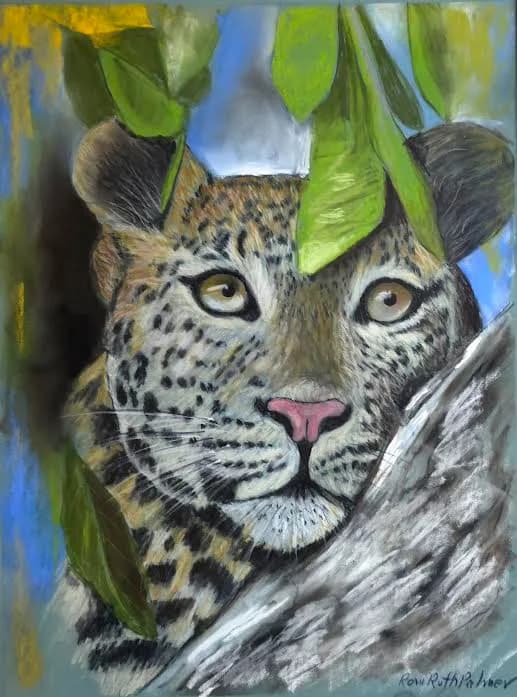 Hidden Leopard Gaze