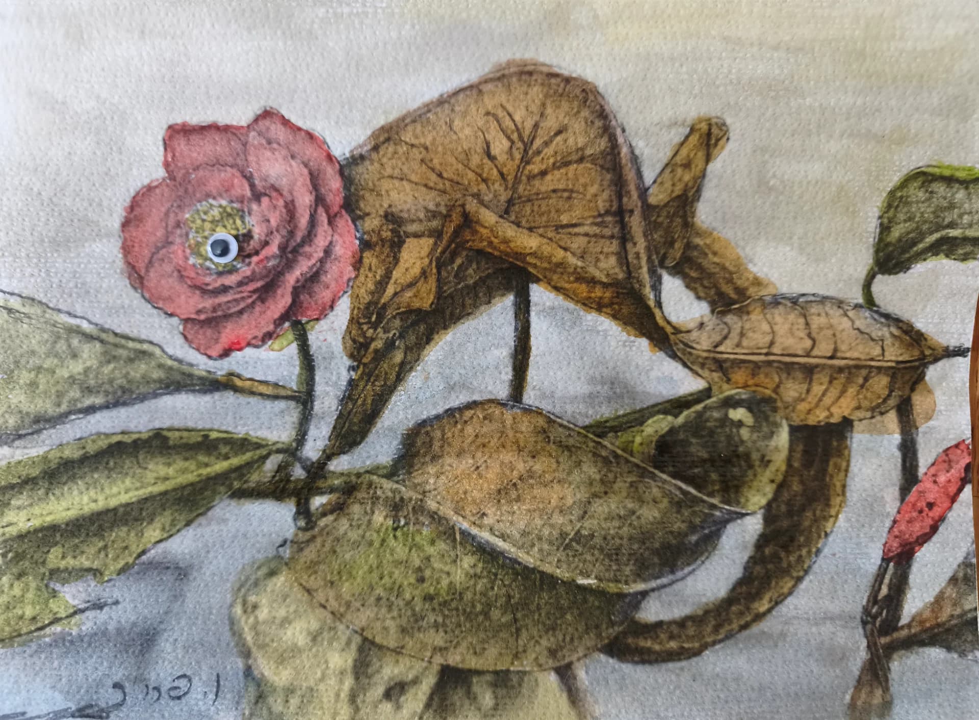 Watcher in Bloom