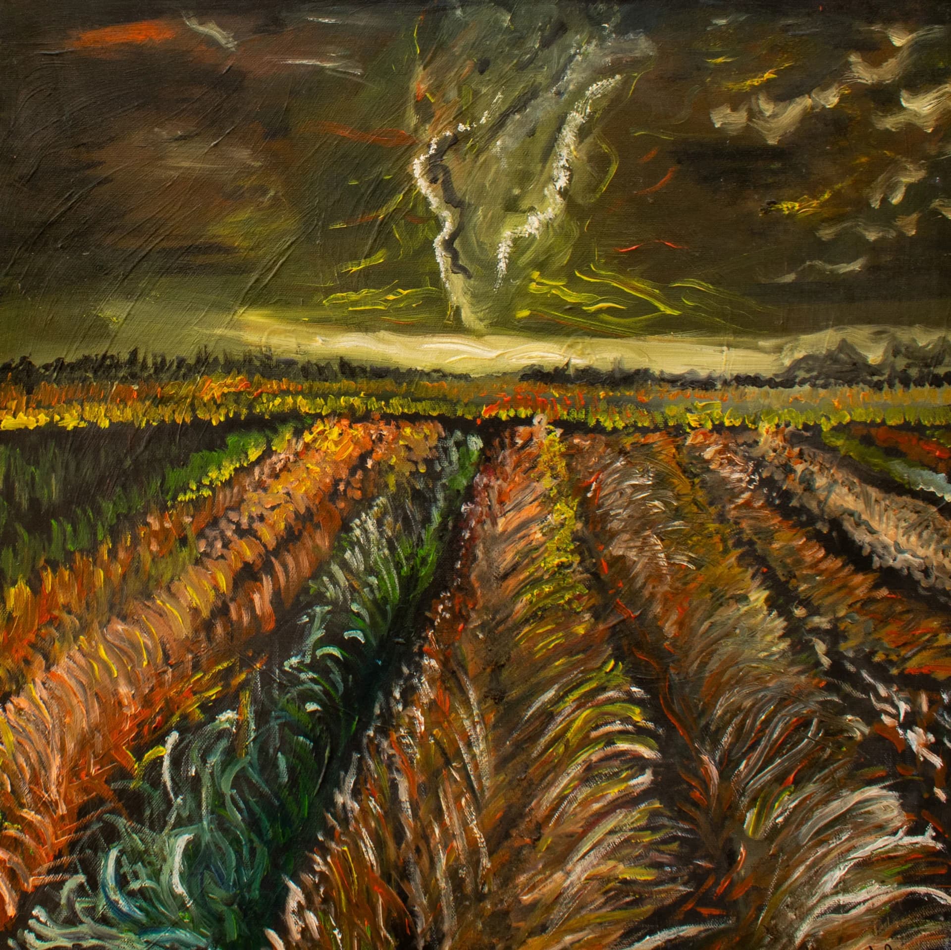 Storm Over Furrows