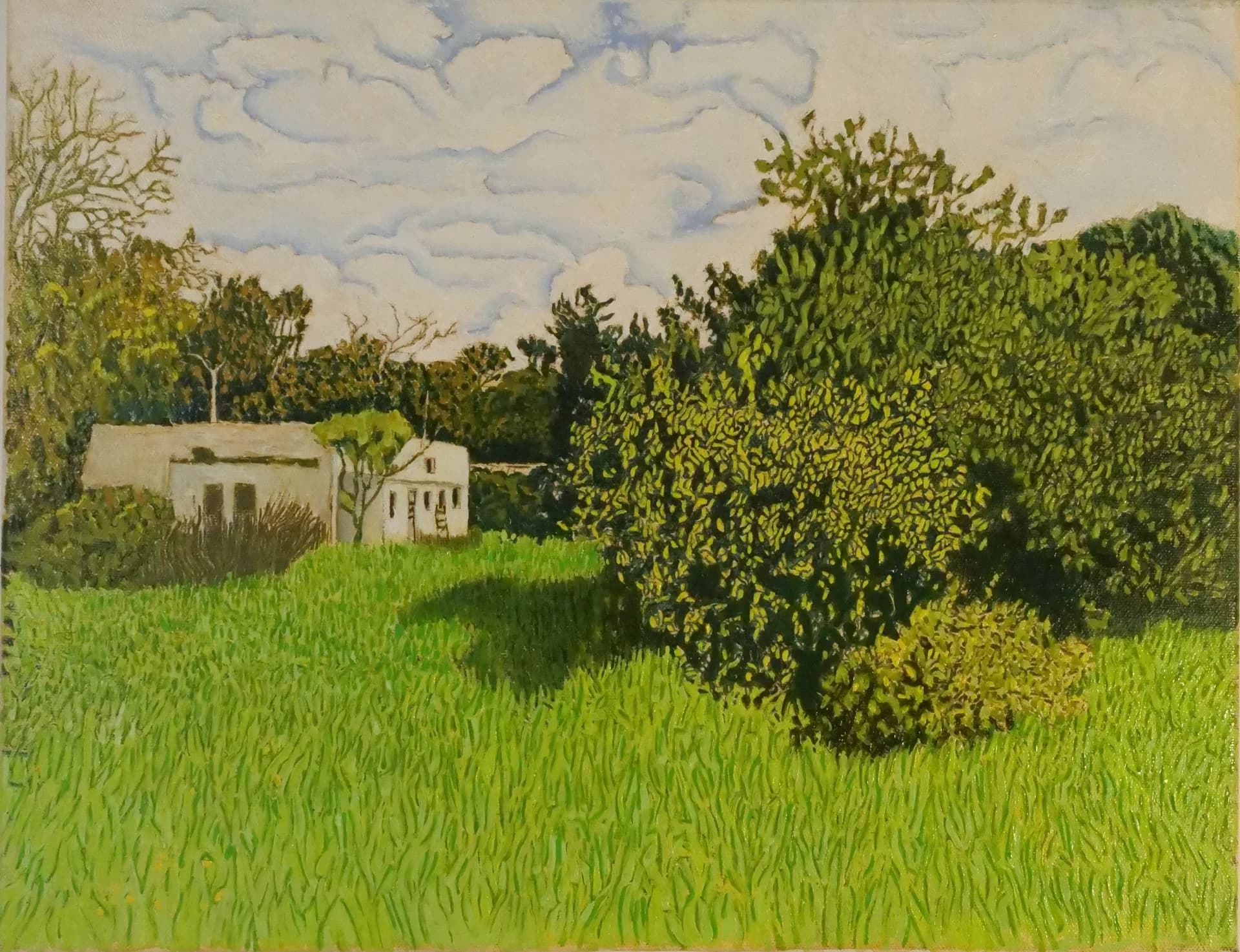 Quiet Orchard Light