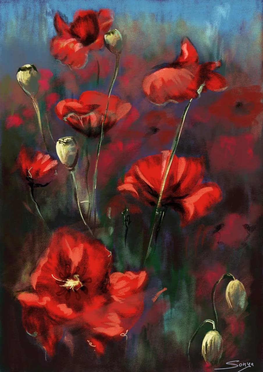 Crimson Poppy Nocturne