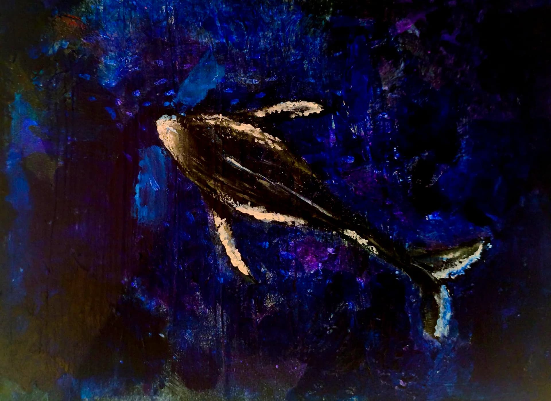 Midnight Whale Passage