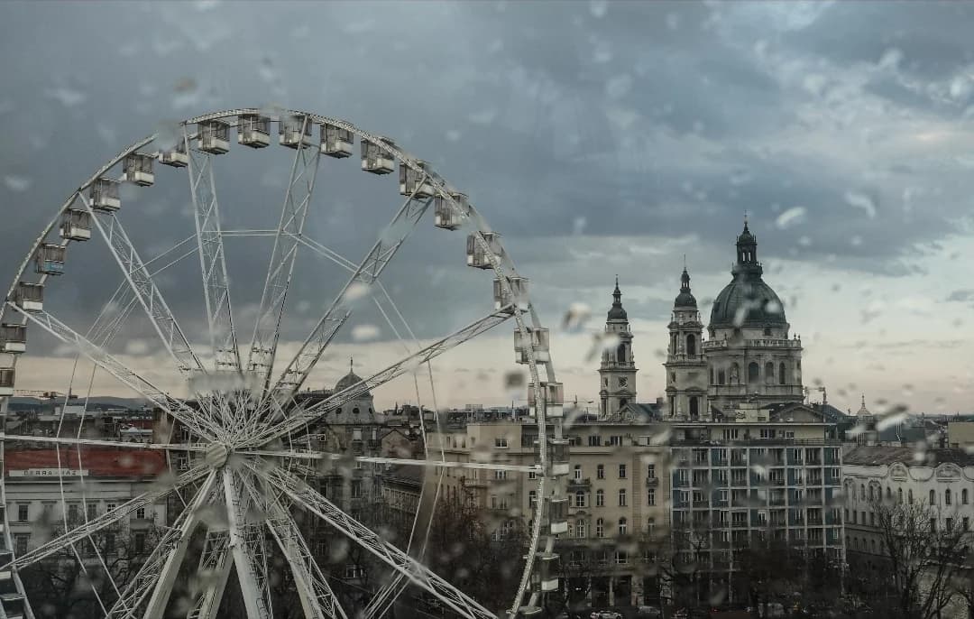 Through the window
